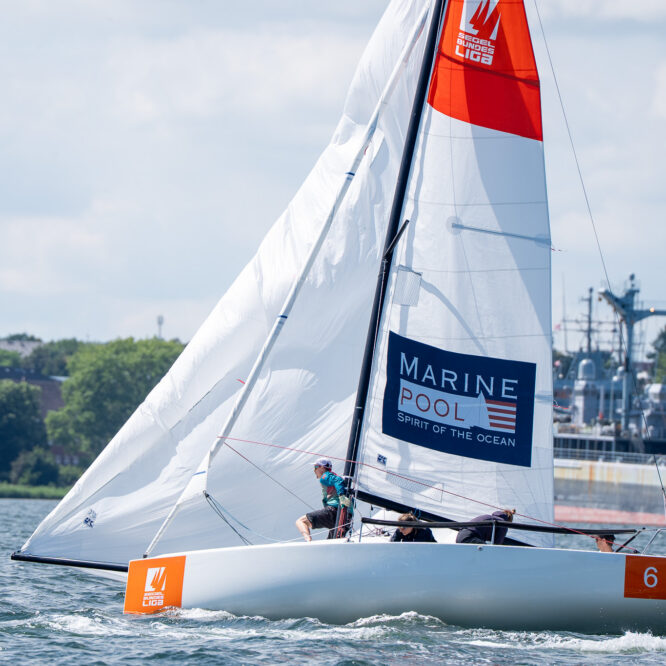 Halse in Kiel